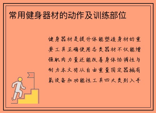 常用健身器材的动作及训练部位